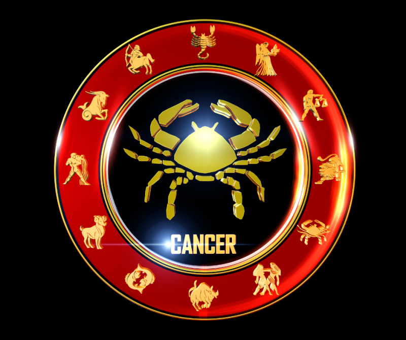 de-5-laengstlevende-tegn